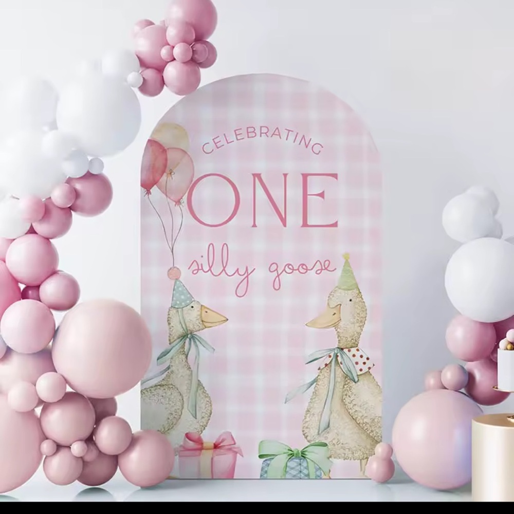 Celebrating ONE silly goose arch cover